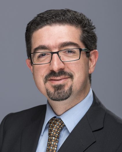 Portrait of Mehdi Tajvidi