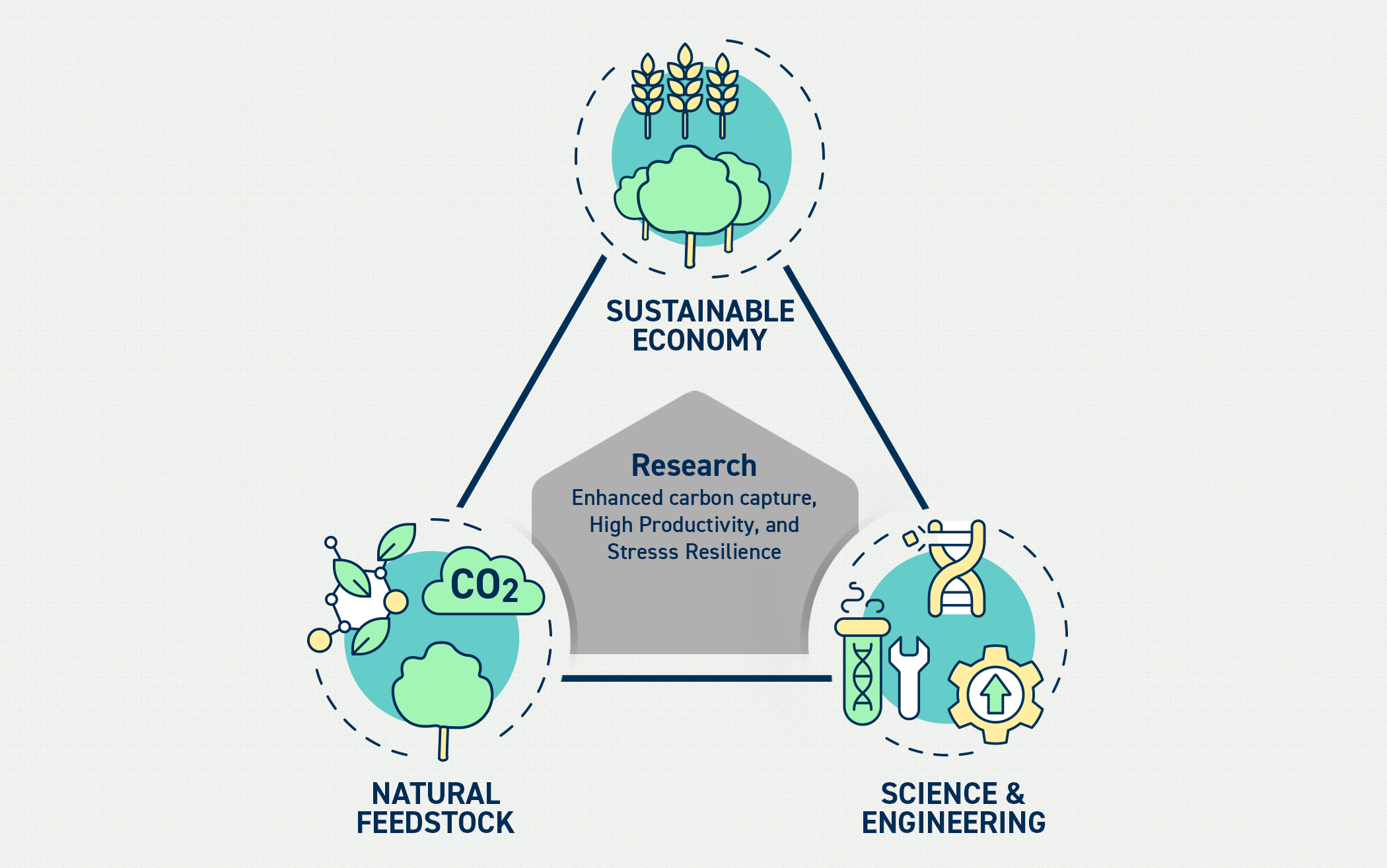Infographic depicting the science and engineering of Natural Feedstock 