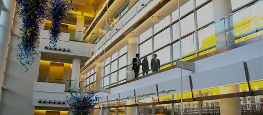 Ray C. Anderson Center for Sustainable Business