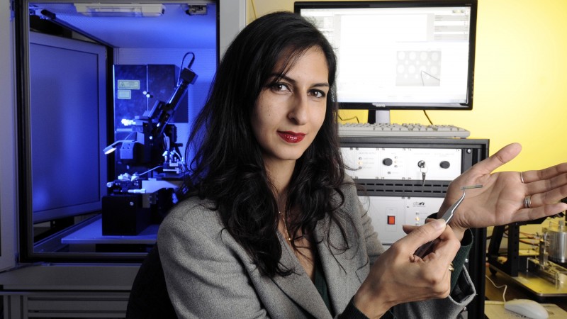 Georgia Tech associate professor Nazanin Bassiri-Gharb recently completed a research sabbatical at Oak Ridge National Laboratory to study nanoscale materials such as ferroelectrics. Image credit: Gary Meek/Georgia Tech.