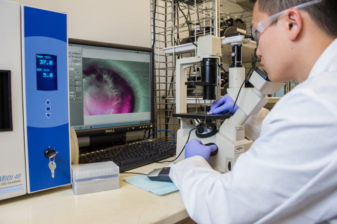 Biomedical Nanotechnology Research at IEN