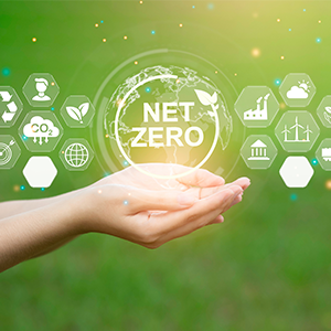 Image showing NET Zero on a human hand representing carbon neutral fuels
