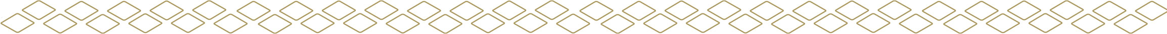 decorative line