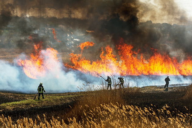 firefighters combat a wildfire