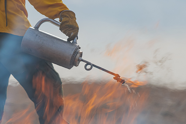 firefighter using a torch to ignite a controlled burn of grass