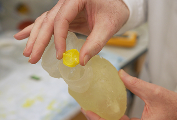The bioresorbable heart valve (yellow) and a 3D-printed heart model.