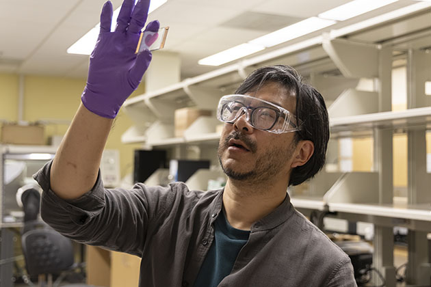 male researcher in a lab at georgia tech wearing a gray shirt and lab safety goggles and holding a glass slide with a magenta stain shaped like a heart 