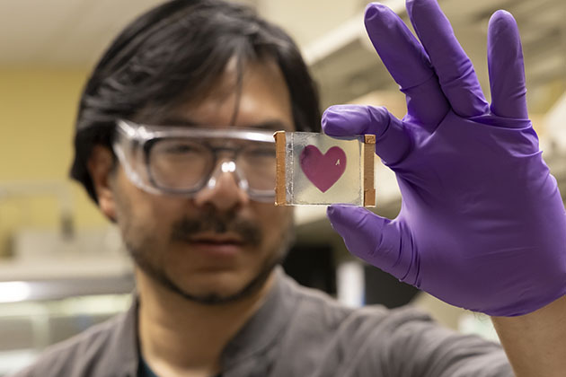 male researcher in a lab at georgia tech wearing a gray shirt and lab safety goggles holding a glass slide with a magenta heart stain up close for the camera