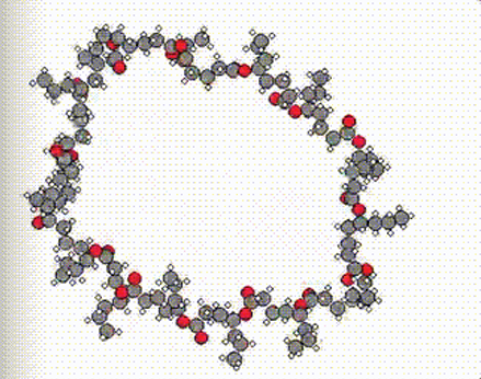 May the Force be with You: Unified Force-Centric Pre-Training for 3D Molecular Conformations
