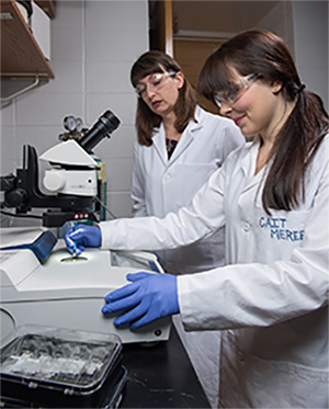 Biomaterials picture