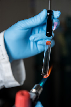 Bioprocessing
