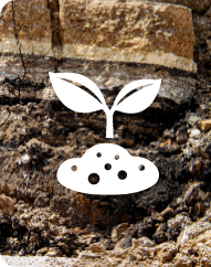 feature earth icon