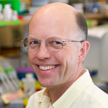 Nicholas Hud, Ph.D.