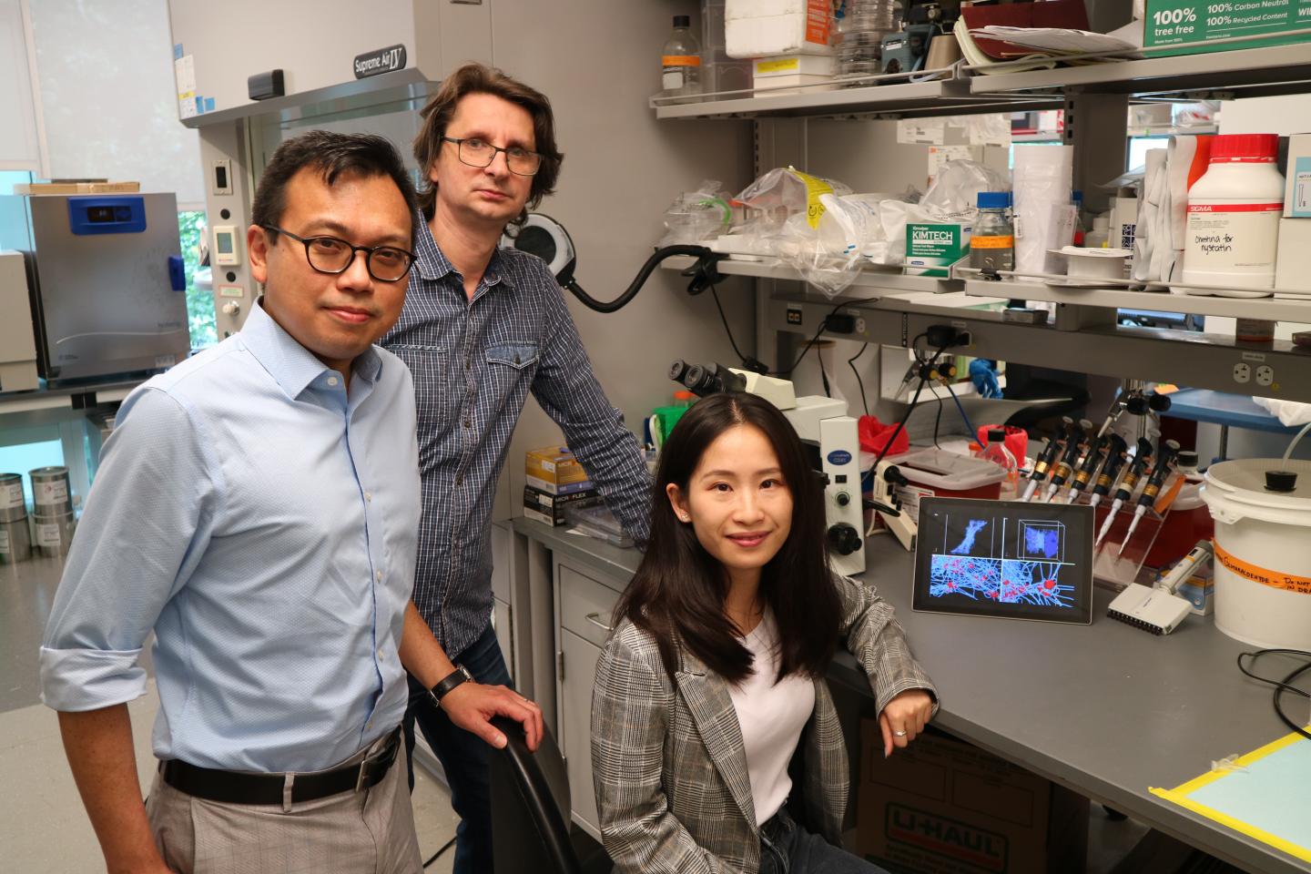 researchers in a lab