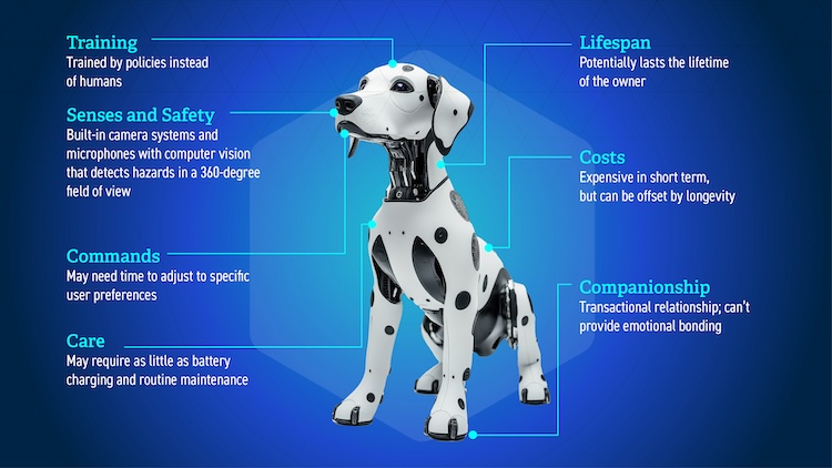 A graphic depicts design considerations for the prototype.