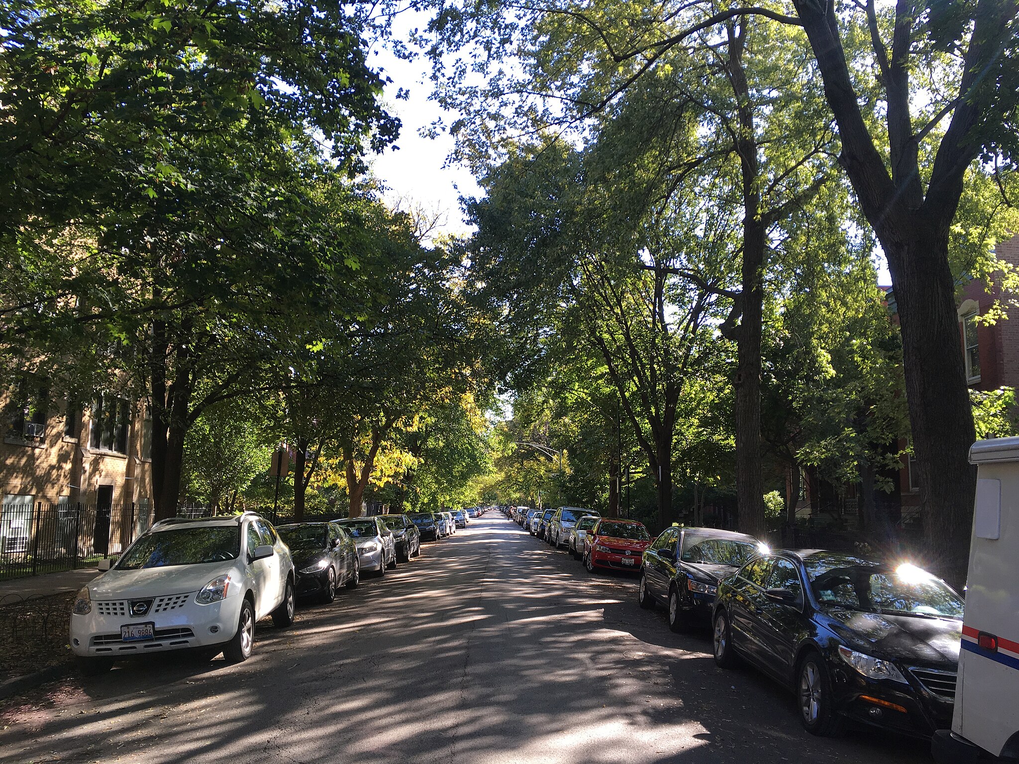 One point perspective shot of a suburban street with a healthy tree canopy cover. Eric Fischer, CC BY 2.0 <https://creativecommons.org/licenses/by/2.0>, via Wikimedia Commons