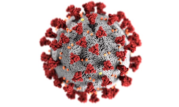 covid cell