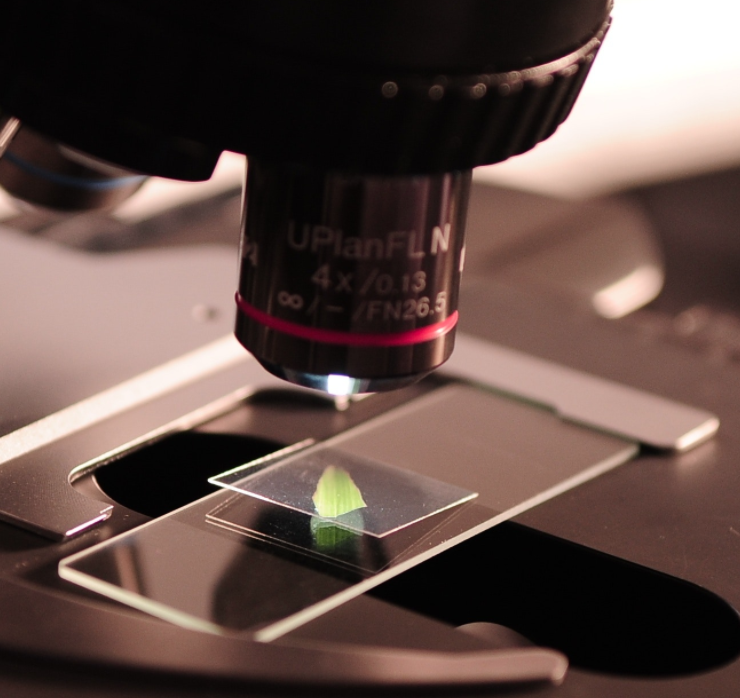 microscope with specimen 