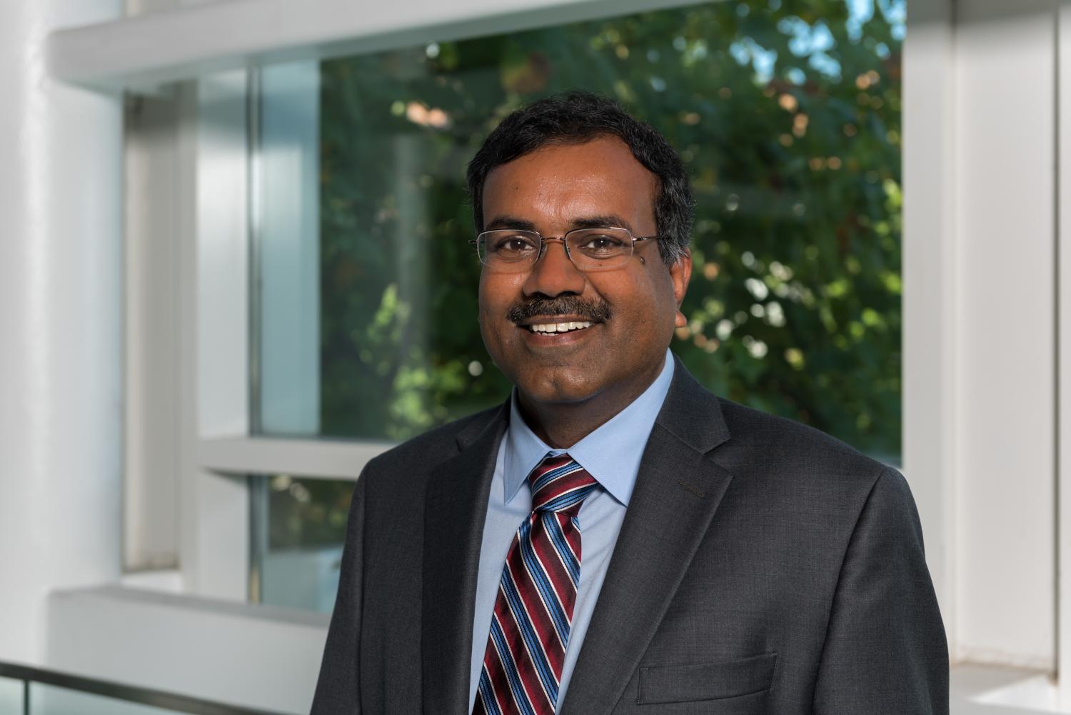 Srinivas Aluru's profile picture