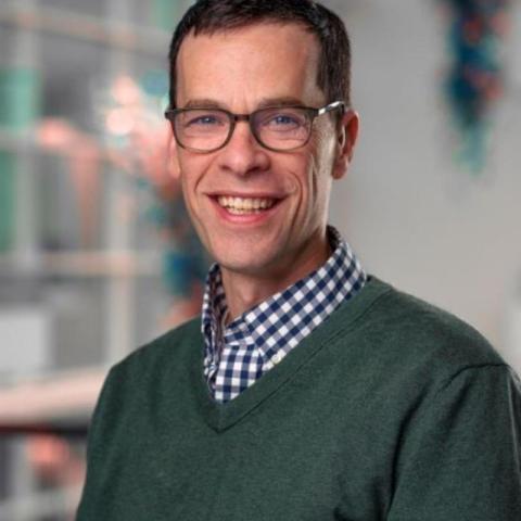 Stephen Rosner's profile picture