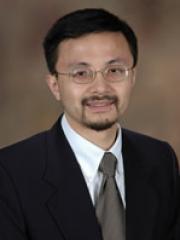 Yan Wang's profile picture
