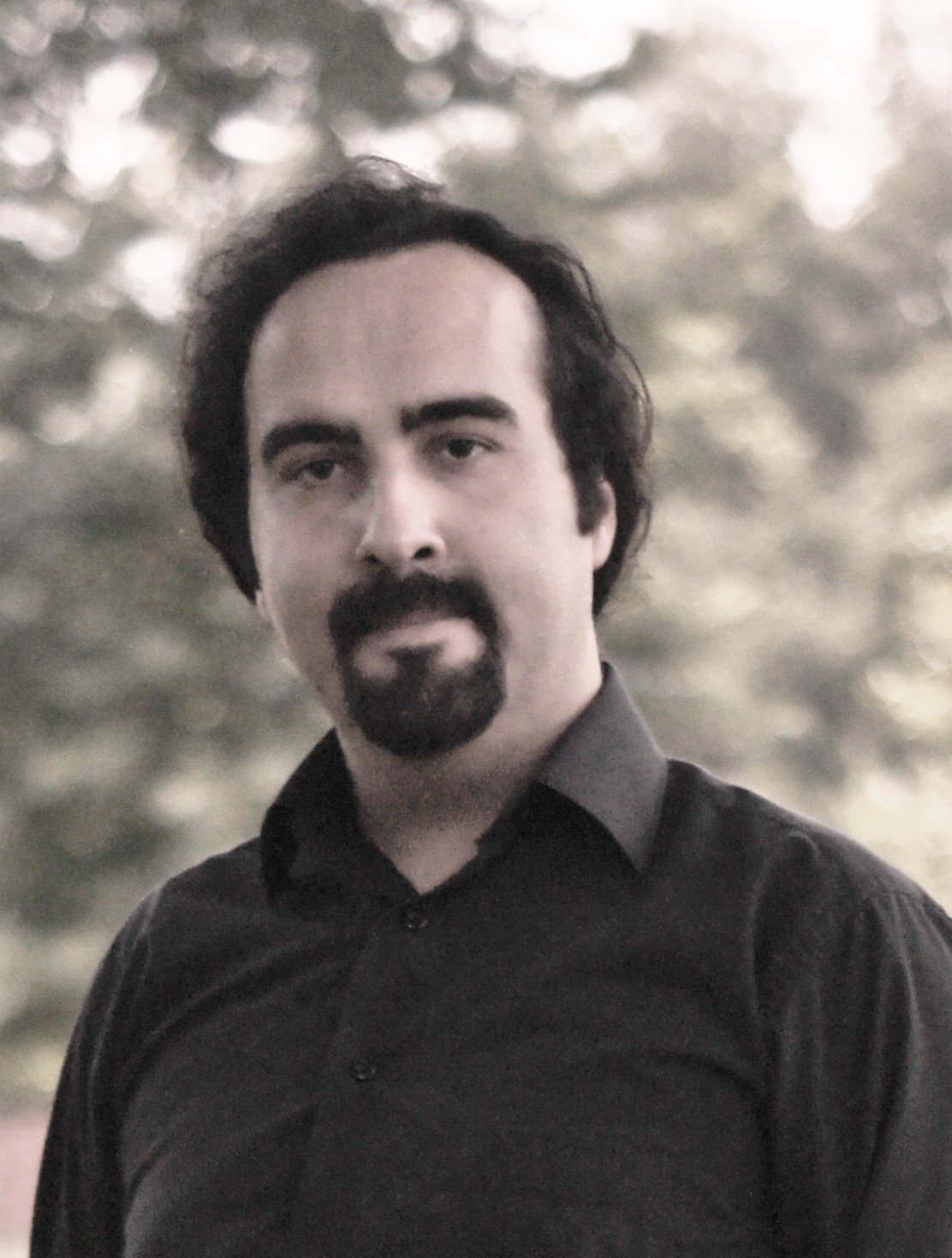 Alper Erturk's profile picture