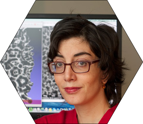 Antonia  Antoniou's profile picture
