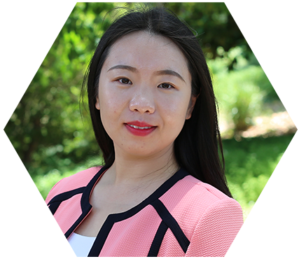 Fan Zhang's profile picture
