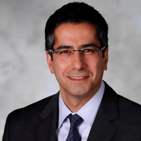 Farrokh Ayazi's profile picture