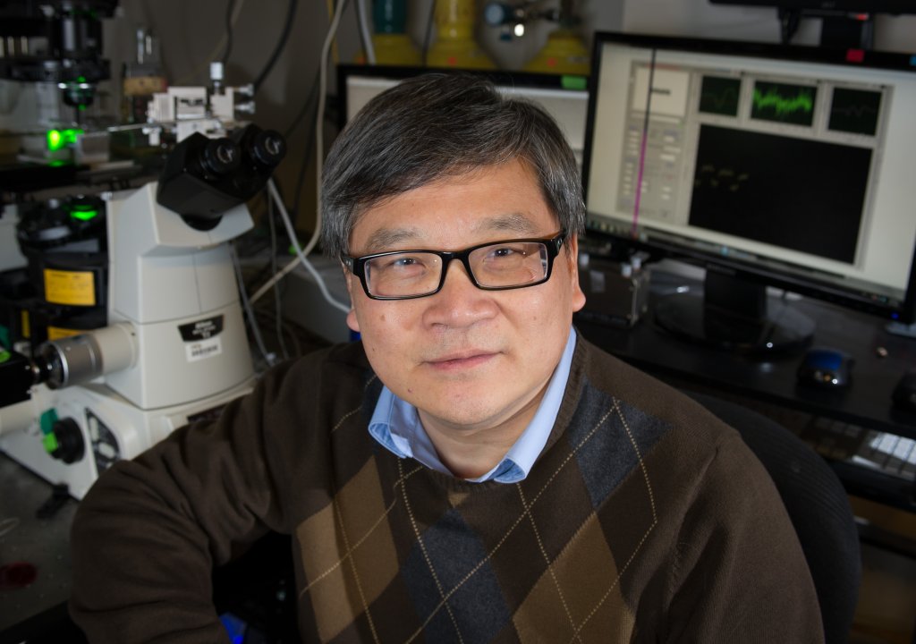 Cheng Zhu's profile picture