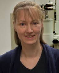 Ingeborg Schmidt-Krey's profile picture