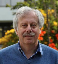 Vladimir Koltchinskii's profile picture