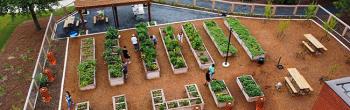 Community-Garden-banner.jpg