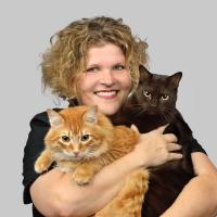 Terri Sapp's profile picture