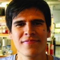 Felipe Garcia Quiroz's profile picture