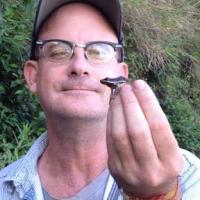 Joseph Mendelson, Ph.D.'s profile picture