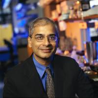 Ravi Kane's profile picture