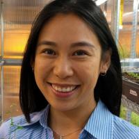 Lily Cheung's profile picture