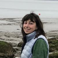 Galyna V. Livshyts's profile picture