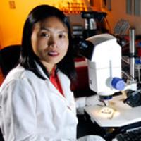 Yuhong Fan's profile picture