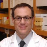Roberto Pacifici's profile picture