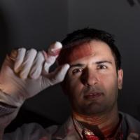 A. Fatih Sarioglu's profile picture