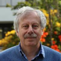Vladimir Koltchinskii's profile picture