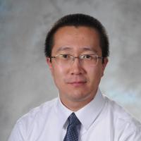 Wenting  Sun's profile picture