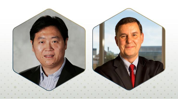ECE Professors Wenshan Cai and Stanislav Emelianov.