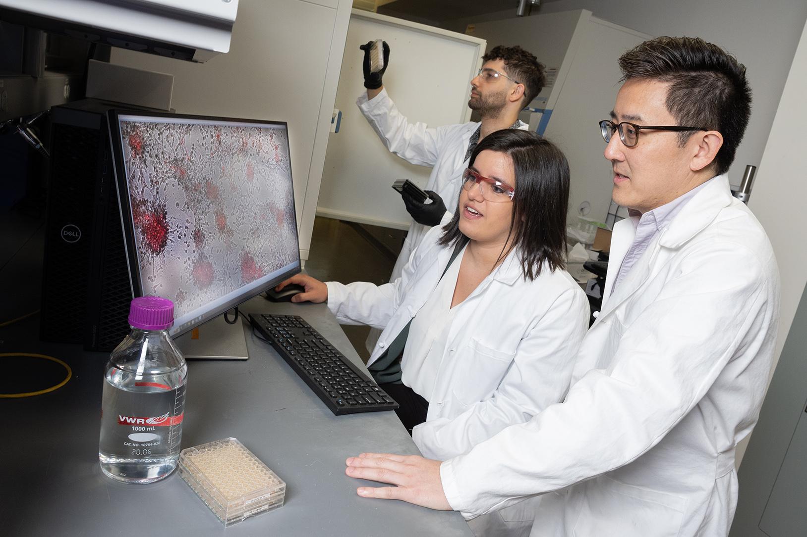 Lena Gamboa and Gabe Kwong look at colorized cells on a computer monitor while Ali Zamat loads samples into a cell counting device. (Photo: Candler Hobbs)