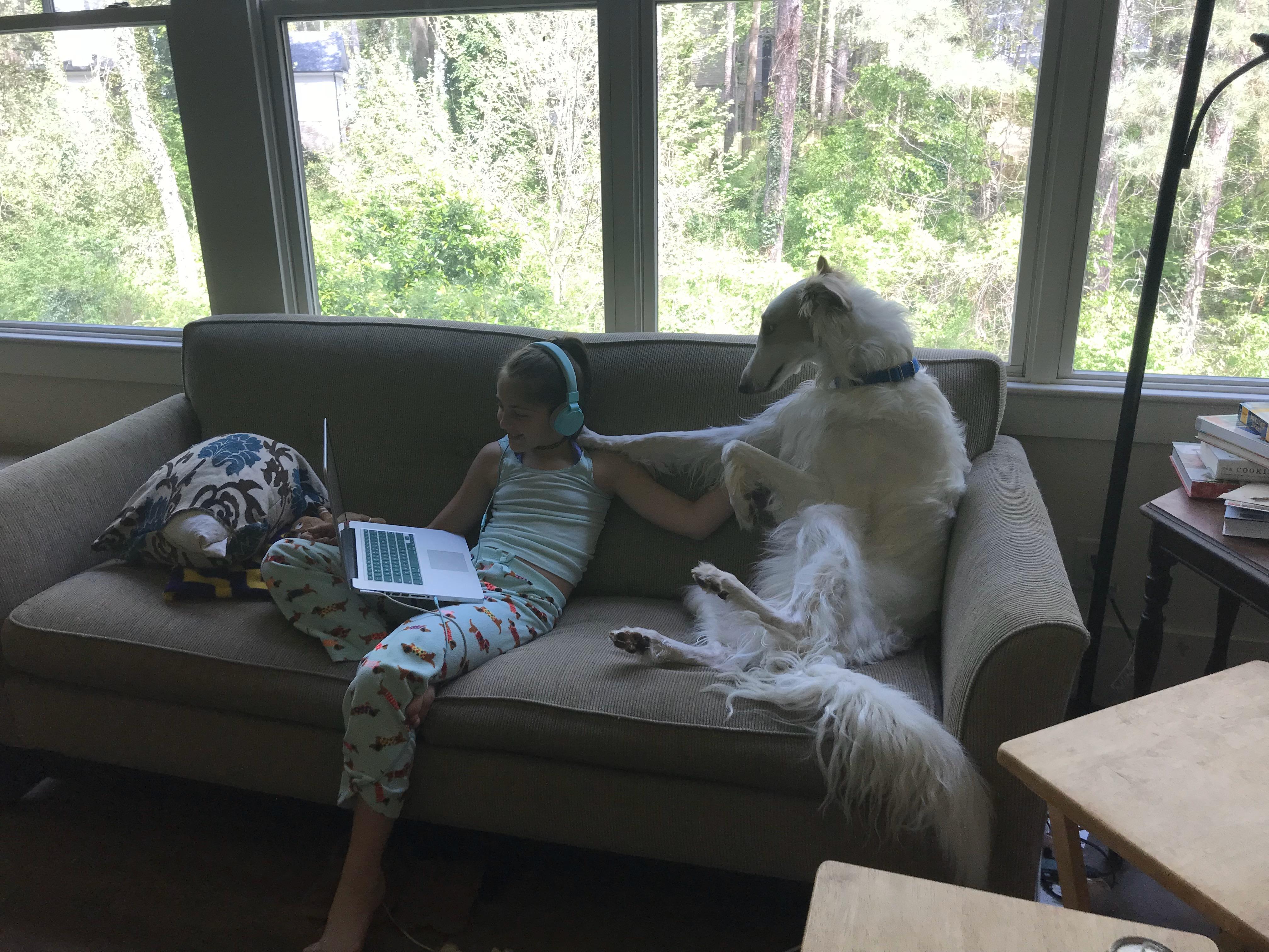 Frankie and Boris on the couch playing