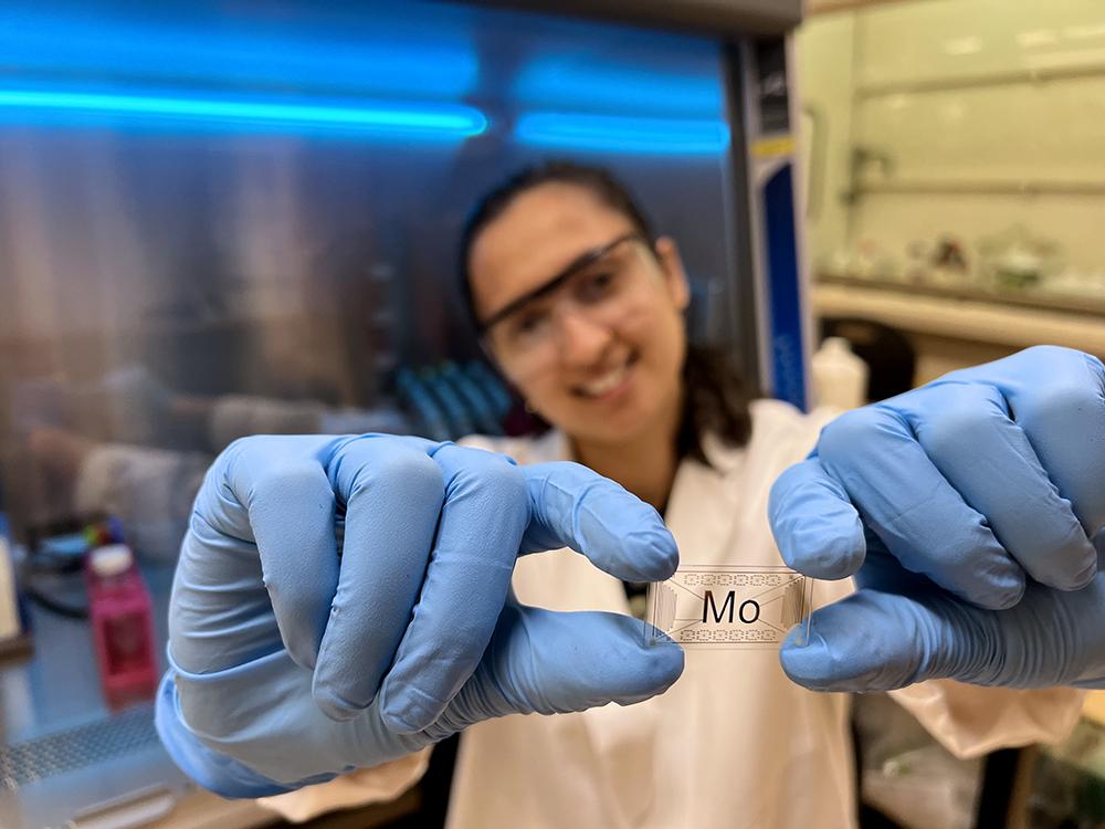 Mo Jarin