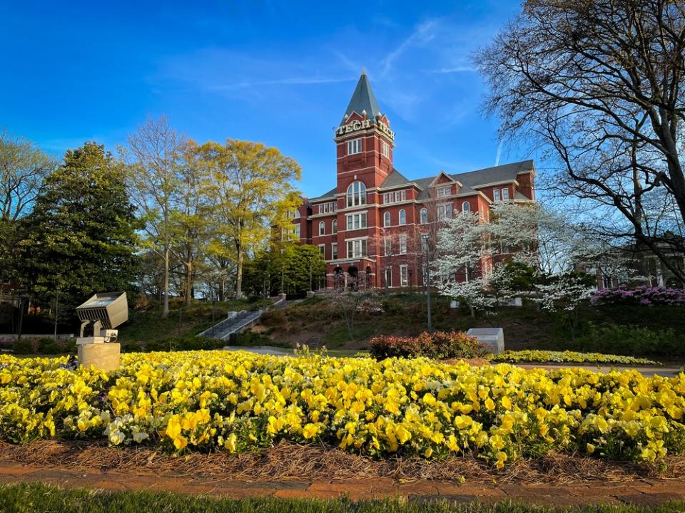 An image of Tech Tower with yellow flowers blooming around it.