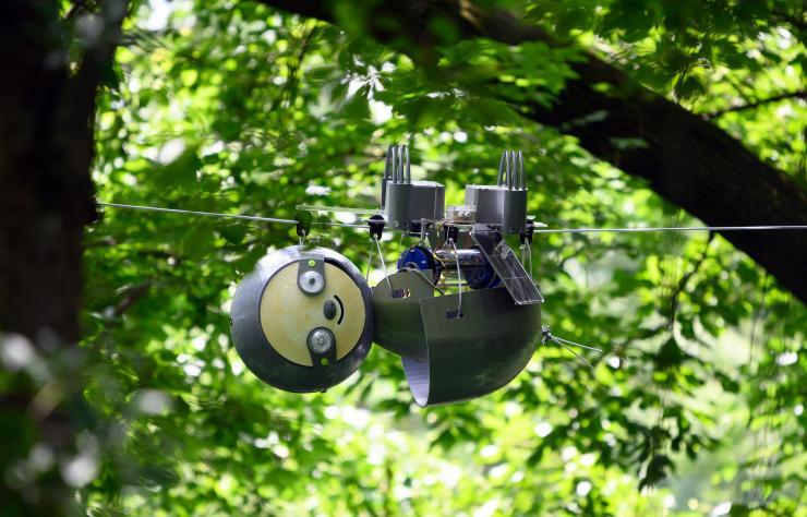 SlothBot at Atlanta Botanical Garden